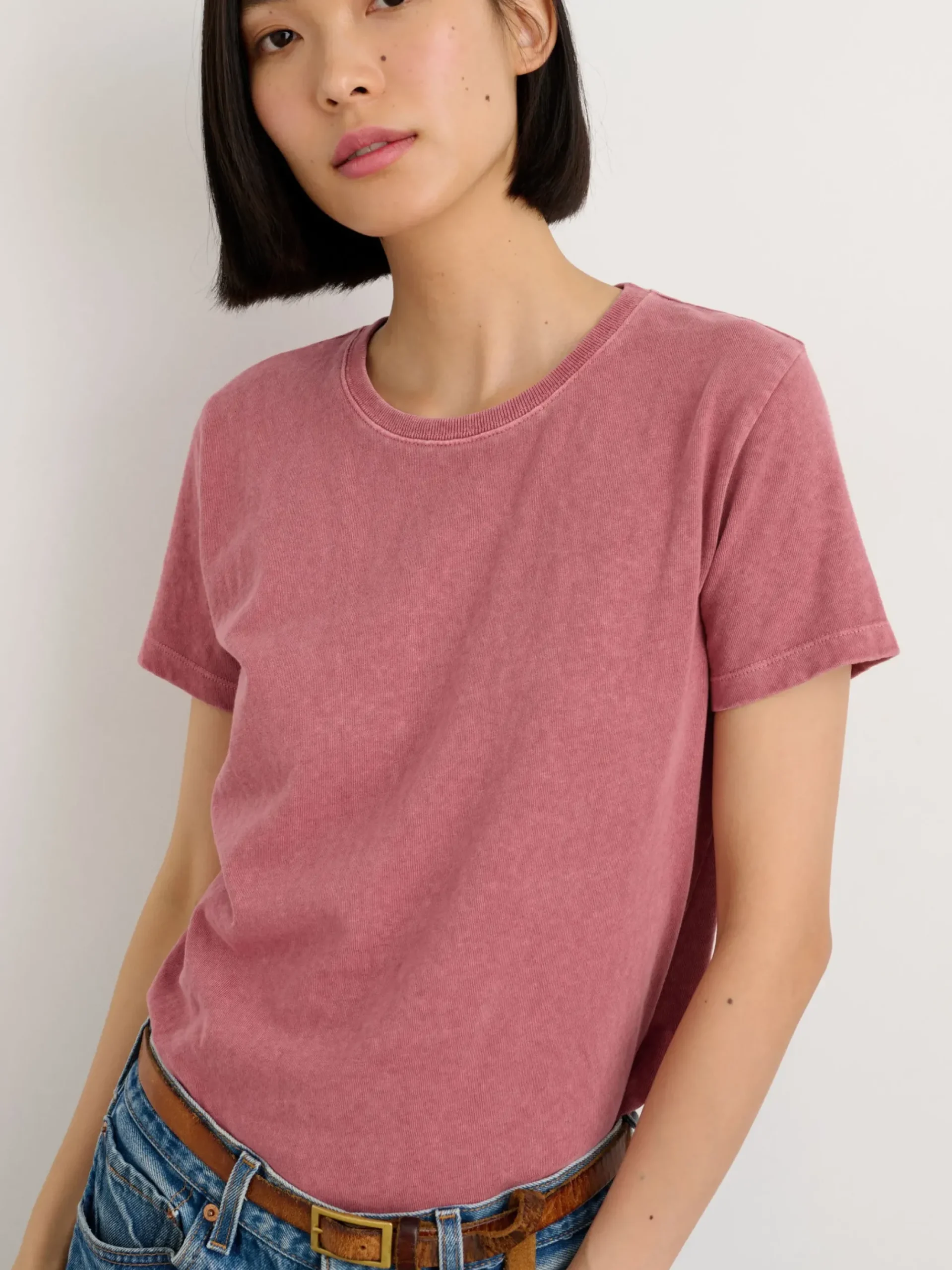 Best Alex Mill Vintage Wash Crewneck Tee Currant
